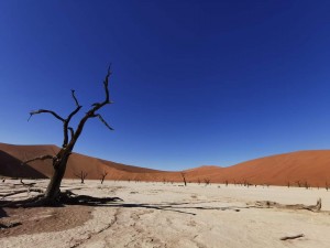 Namibia – Ein Land voller Kontraste